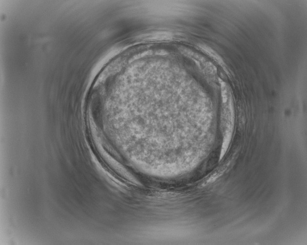 X0000075871475200610151648