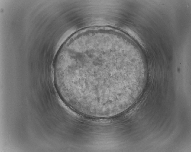 X0000075871476200610151648