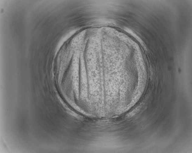 X0000075871477200610151648