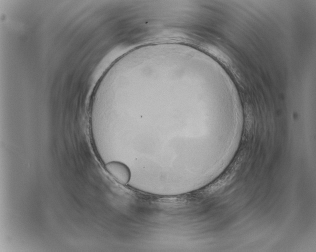 X0000075871478200610151648