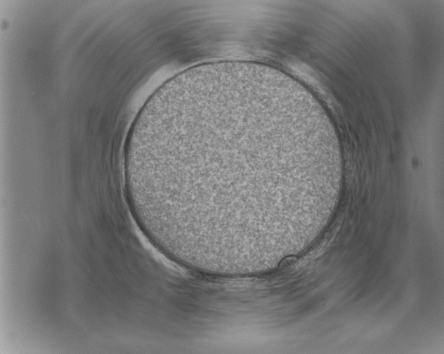 X0000075871479200610151648