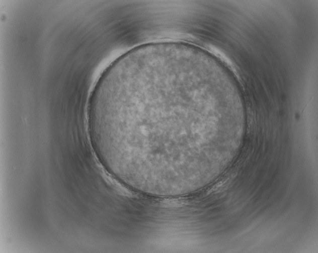 X0000075871480200610151648