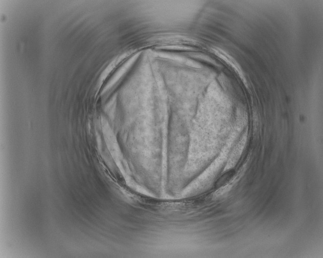 X0000075871481200610151648