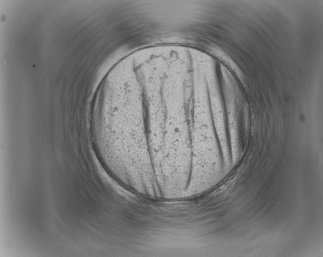 X0000075871483200610151648