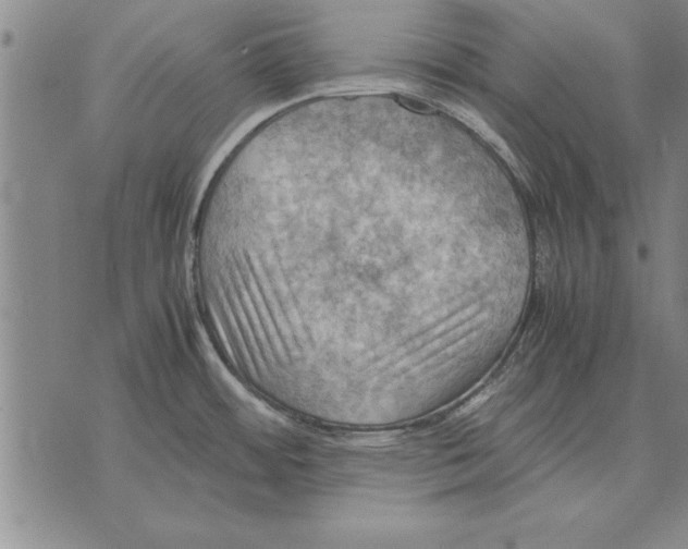 X0000075871484200610151648