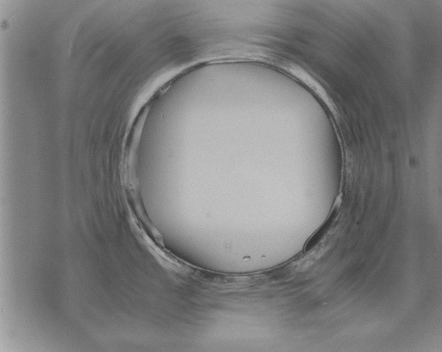 X0000075871485200610151648