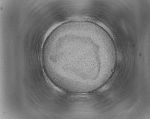 X0000075871486200610151648