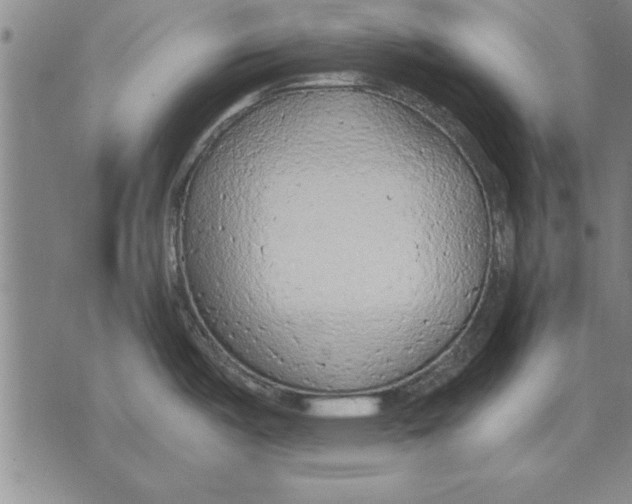 X0000075871487200610151648