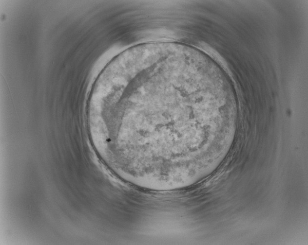 X0000075871488200610151648