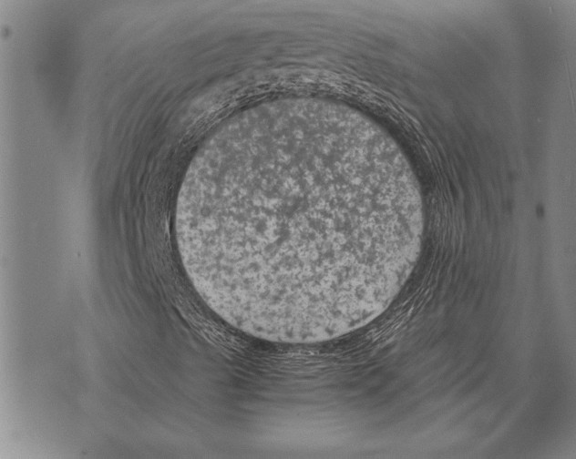 X0000075871489200610151647