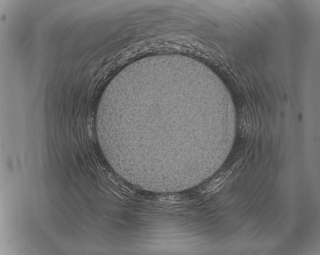 X0000075871490200610151647