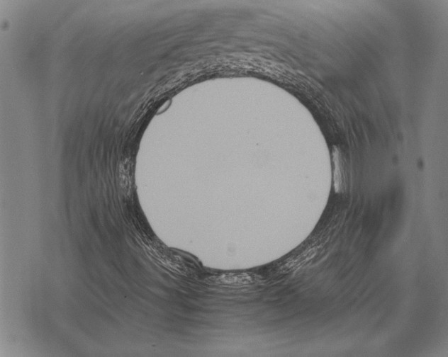 X0000075871491200610151647