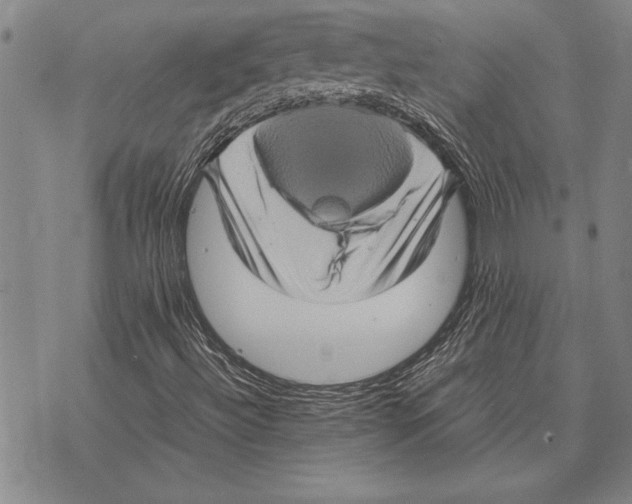 X0000075871492200610151647