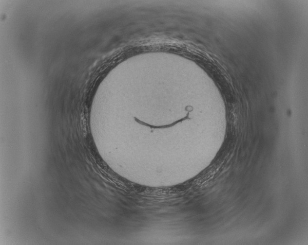 X0000075871493200610151647