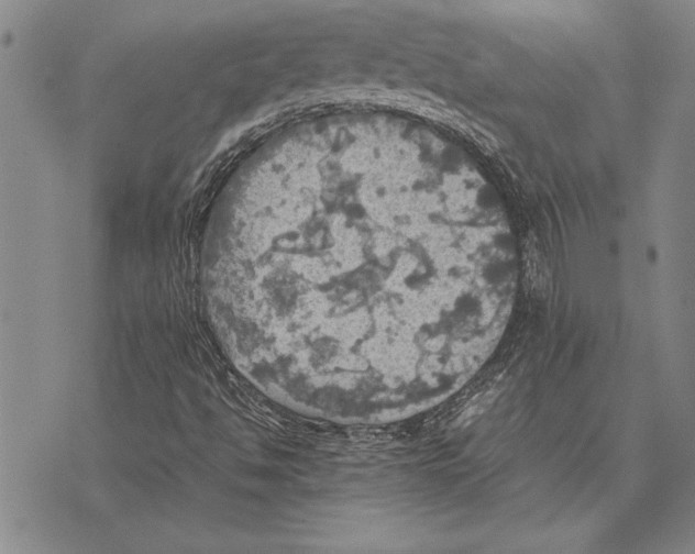 X0000075871494200610151647