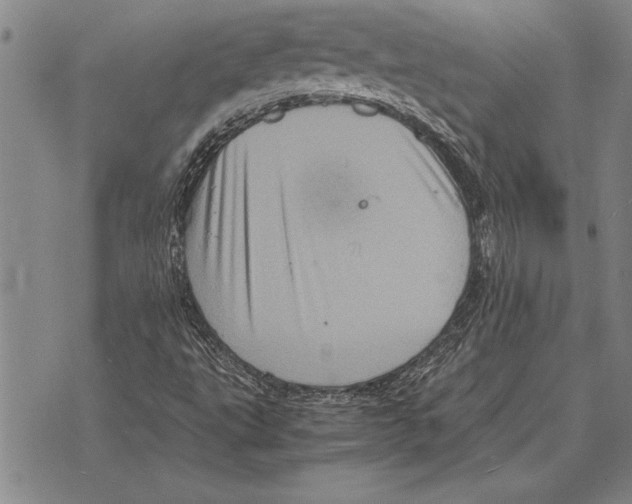 X0000075871495200610151647