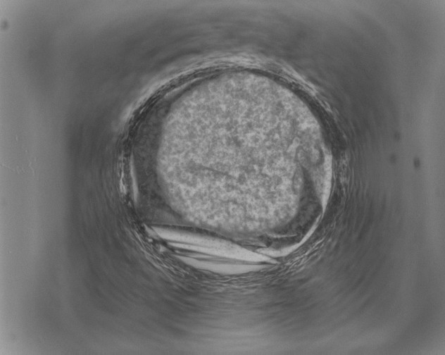 X0000075871496200610151647