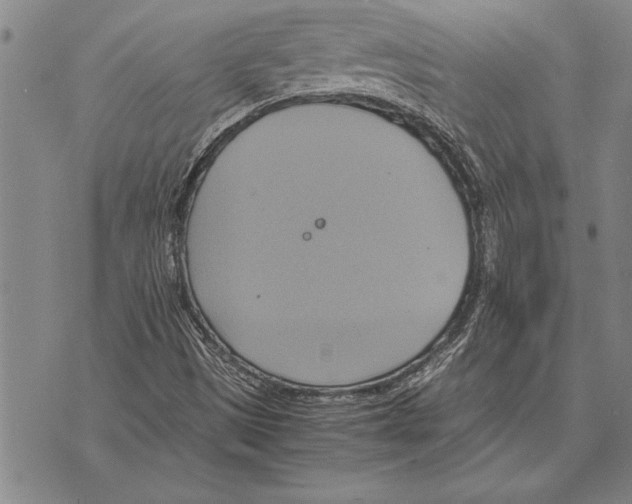 X0000075871497200610151647