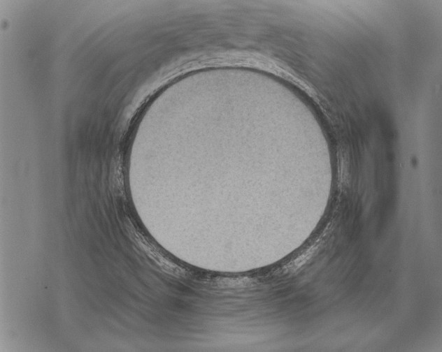 X0000075871498200610151647