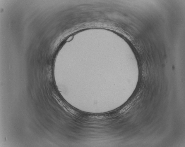 X0000075871499200610151647