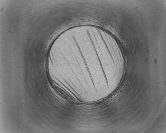 X0000075871500200610151647