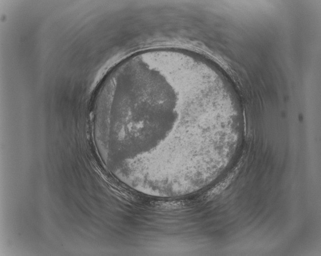 X0000075871501200610151647