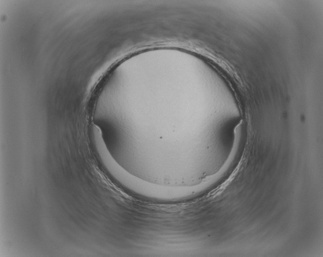 X0000075871502200610151647