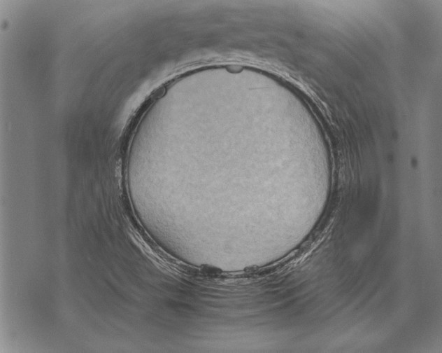 X0000075871503200610151647