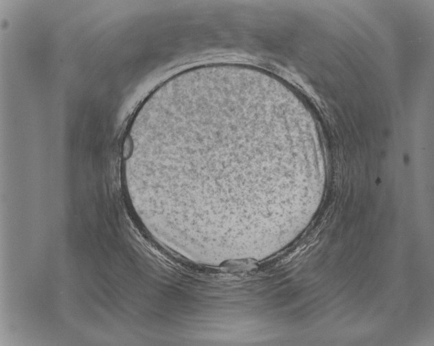 X0000075871504200610151647