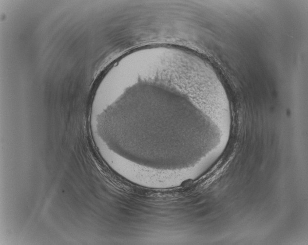 X0000075871505200610151647