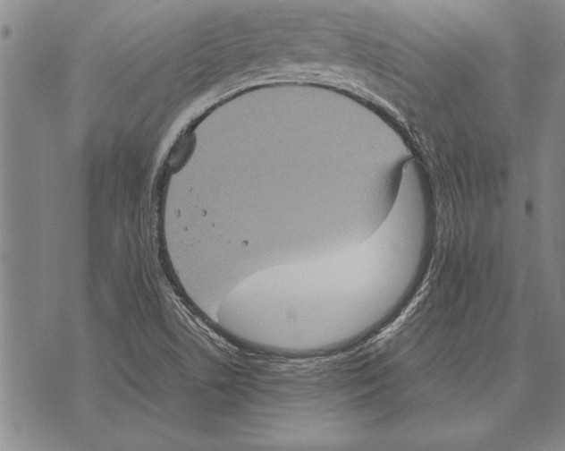 X0000075871506200610151647