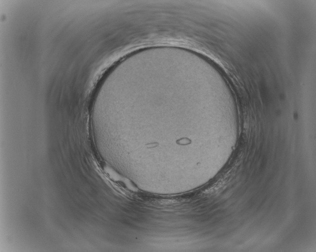 X0000075871507200610151647