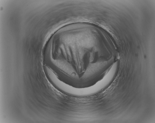 X0000075871508200610151647