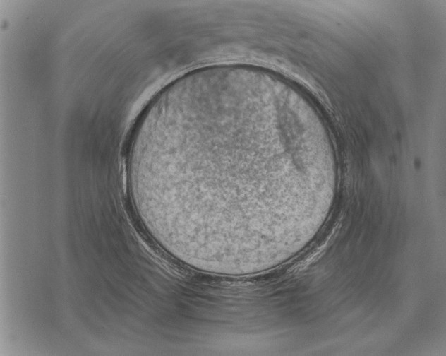 X0000075871509200610151647