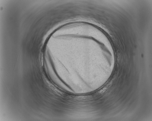 X0000075871510200610151647