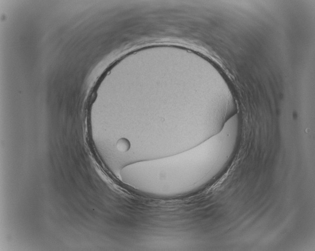 X0000075871511200610151647