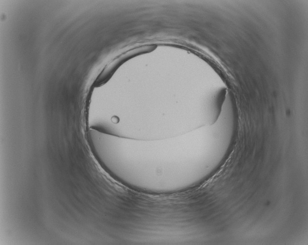 X0000075871512200610151647