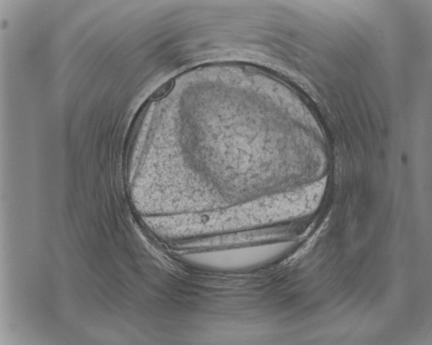 X0000075871513200610151647