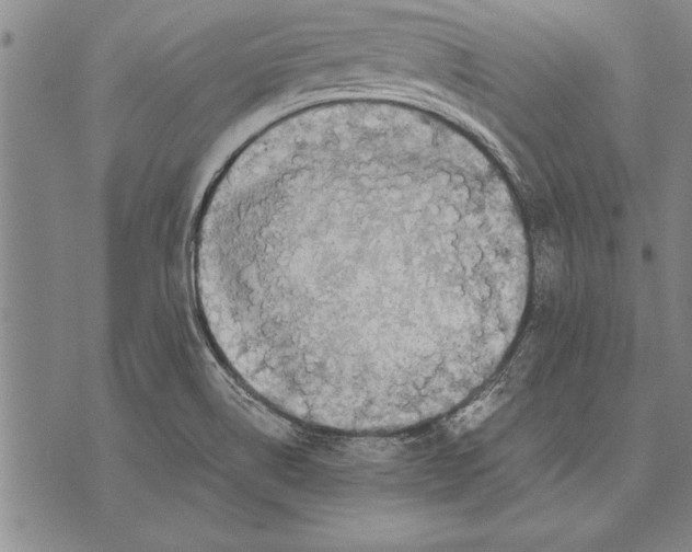 X0000075871514200610151647