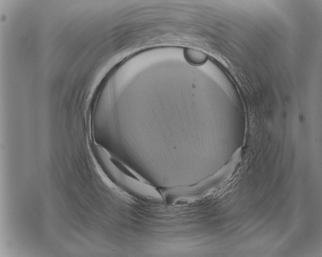 X0000075871515200610151647