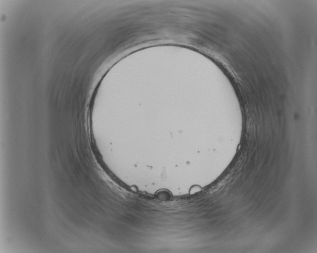 X0000075871516200610151647