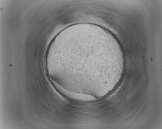 X0000075871517200610151647