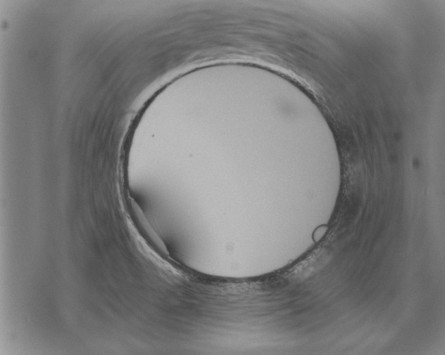 X0000075871518200610151647