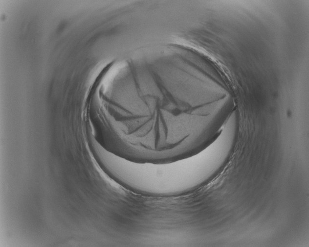 X0000075871519200610151647