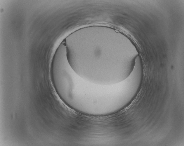 X0000075871520200610151647