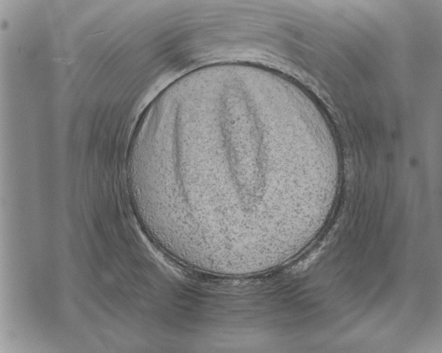 X0000075871521200610151647