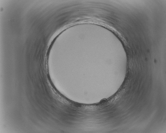 X0000075871522200610151647