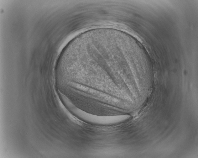 X0000075871523200610151647