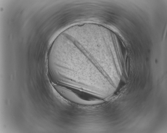 X0000075871524200610151648