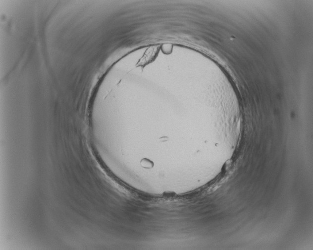 X0000075871525200610151648